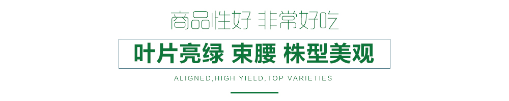 1557820884247075.jpg 詳情頁12.jpg