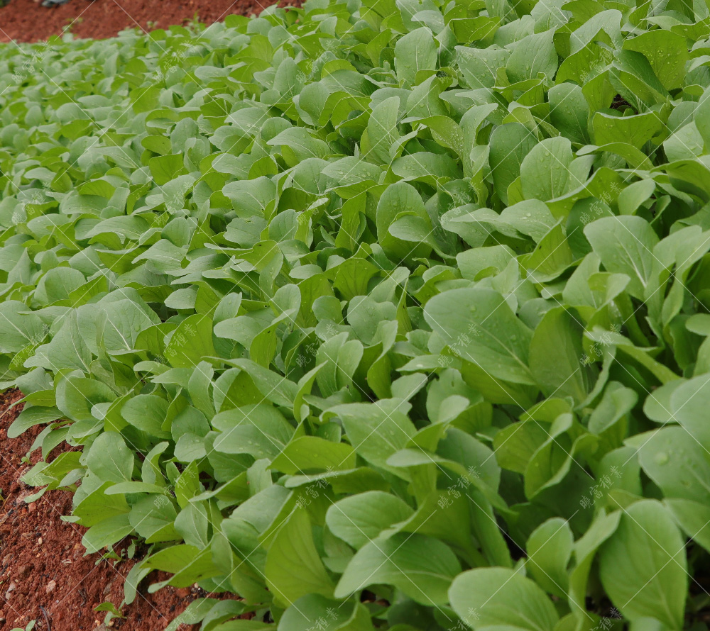 1557883444331198.jpg IMG_4134.jpg