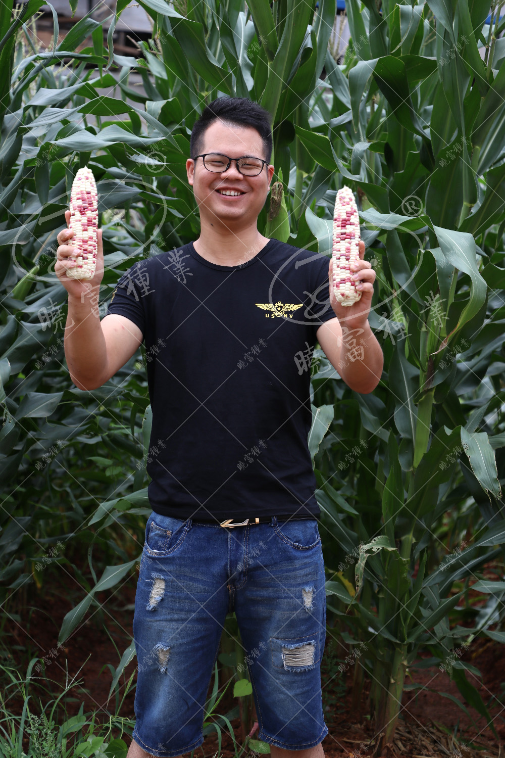 1558489979527687.jpg 49.jpg