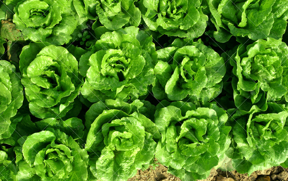 1558575762813854.jpg 53.jpg