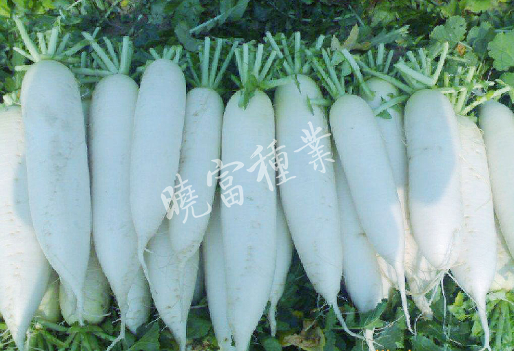 1585788464287639.jpg 06.jpg