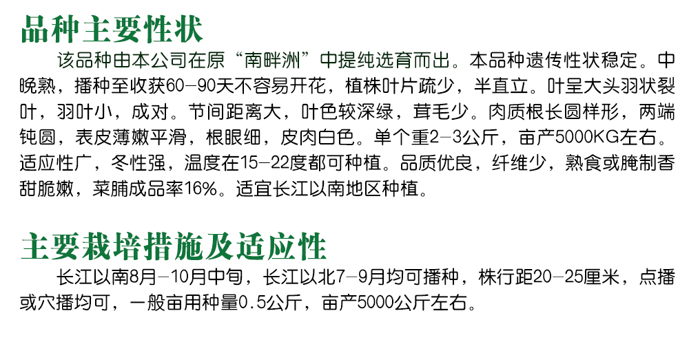 1585788493121353.jpg 10.jpg