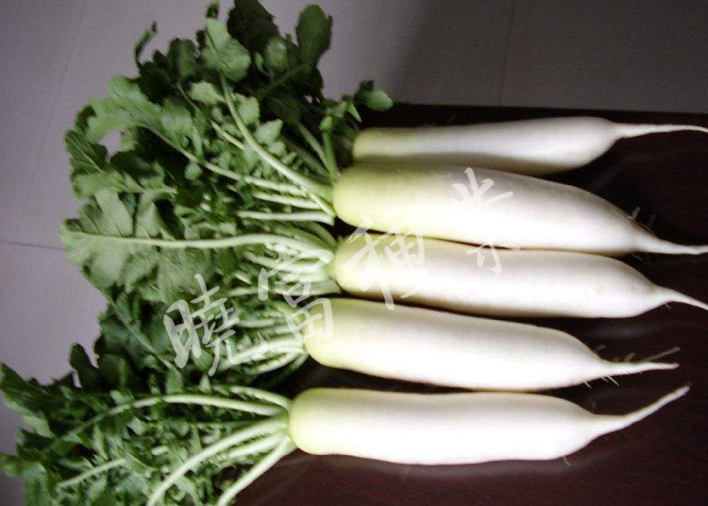 1585788709837564.jpg 04.jpg