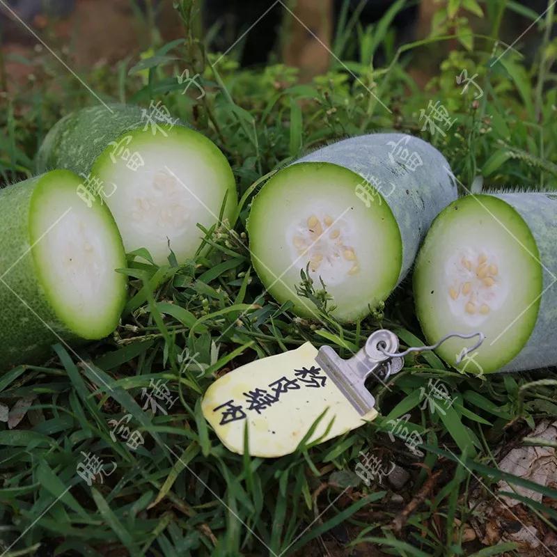 1585993374956073.jpg 04.jpg