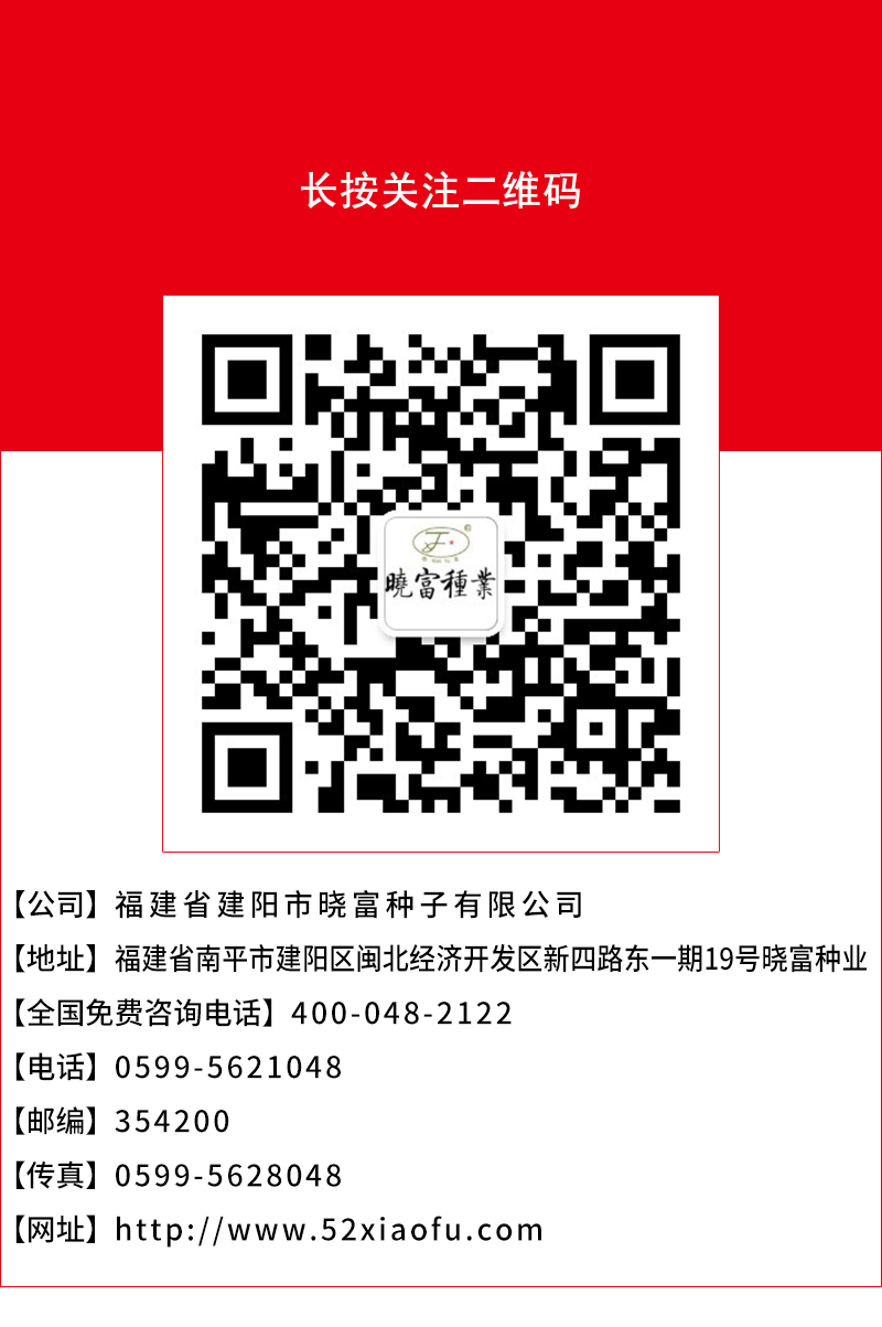 1602151299527849.jpg 14.jpg